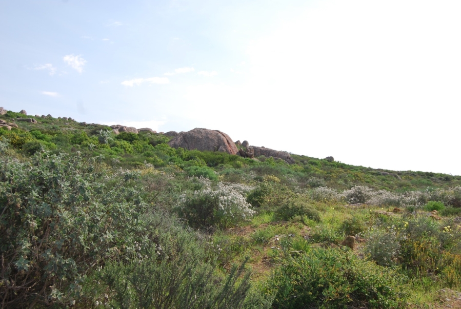 0 Bedroom Property for Sale in St Helena Views Western Cape